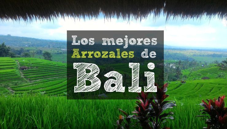 Los mejores arrozales de Bali